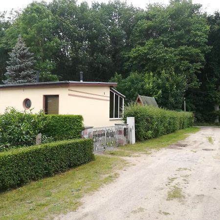 Ferienhaus Am Wald Loissin Экстерьер фото